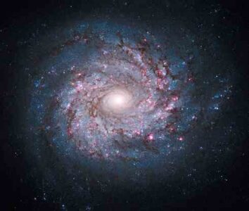 Space, the Final Bourgeois Frontier Image